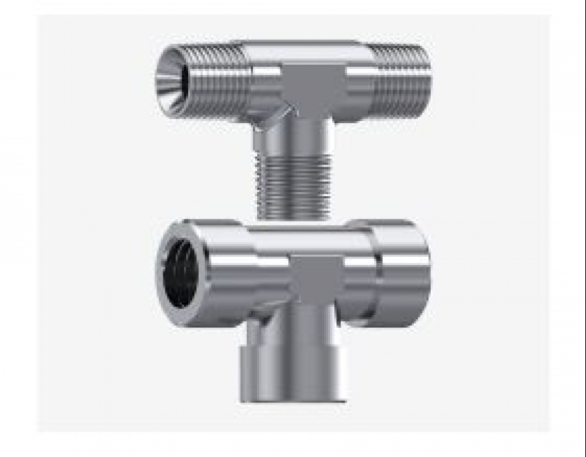Tes en Forja NPT Inoxidable