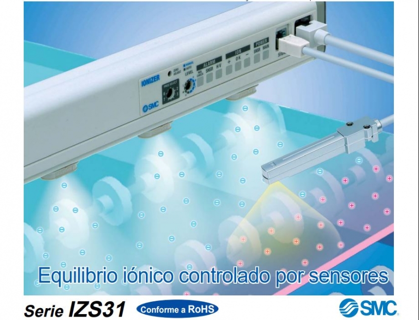 IZS31, Ionizador