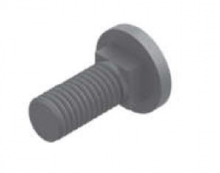 Tornillo de Fijación Antigiro M10