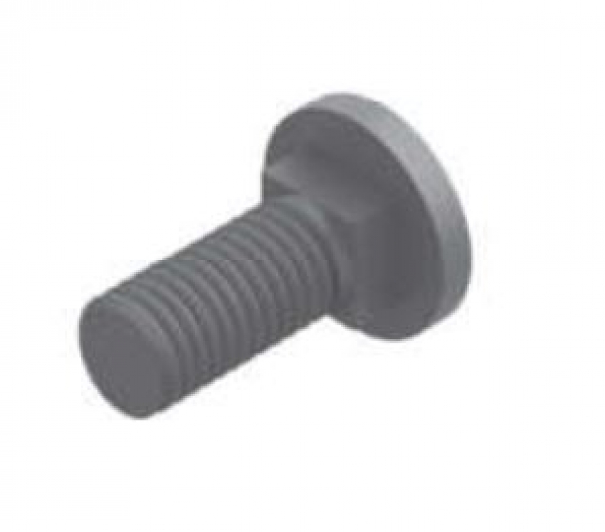 Tornillo de Fijación Antigiro M10