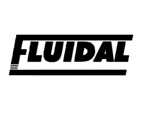 FLUINET